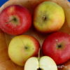 Malus (Apfel) 'Ariwa'